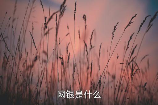 網(wǎng)銀是什么