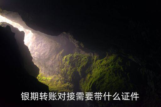 銀期轉賬對接需要帶什么證件