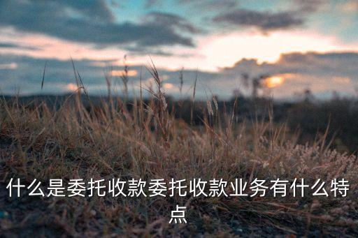 什么是委托收款委托收款業(yè)務(wù)有什么特點