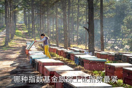 哪種指數(shù)基金跟蹤上證指數(shù)最緊