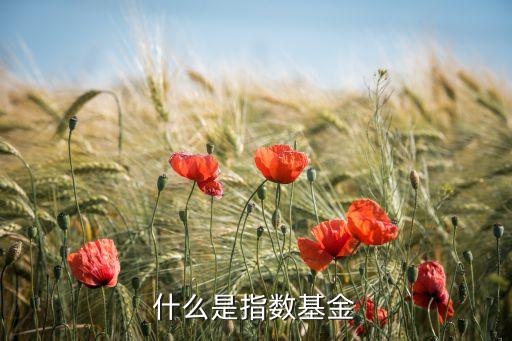 什么是中指數(shù)型基金，指數(shù)基金是個(gè)什么概念