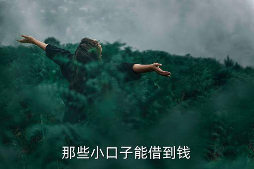 什么口子像手機(jī)貸款，像閃銀 拍拍貸 手機(jī)貸這類似的口子還有那些啊