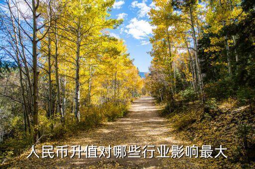 人民幣升值對哪些行業(yè)影響最大