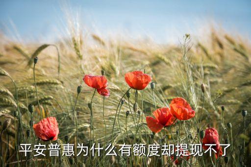 平安普惠為什么有額度卻提現(xiàn)不了