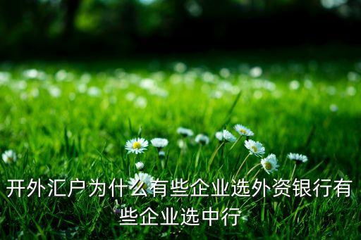 開外匯戶為什么有些企業(yè)選外資銀行有些企業(yè)選中行