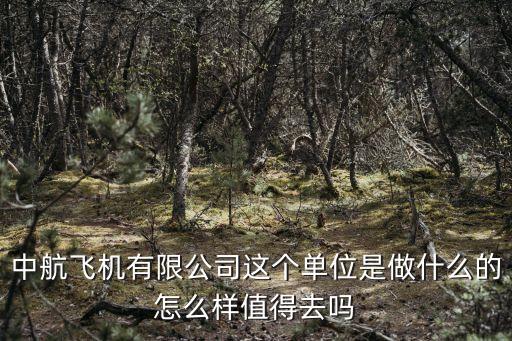 中航飛機(jī)有限公司這個(gè)單位是做什么的怎么樣值得去嗎
