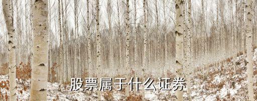 資本證券包括什么，資本證劵有哪3種類型區(qū)分是甚么