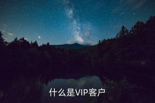 什么是VIP客戶