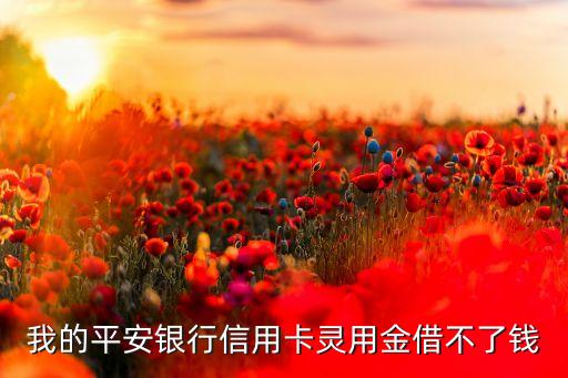 靈用金為什么批不下來(lái)，我的平安信用卡為什么申請(qǐng)不了靈用金
