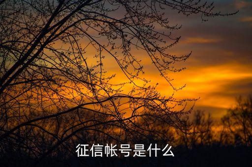 征信帳號(hào)是什么