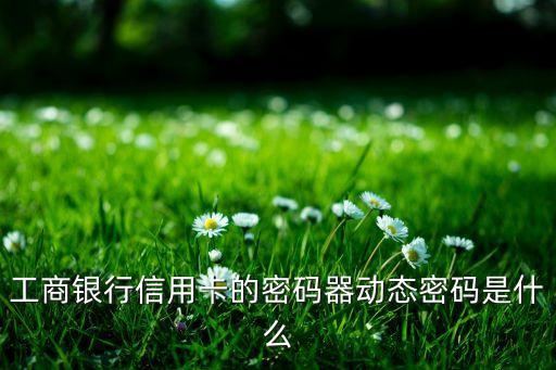 工商銀行信用卡的密碼器動態(tài)密碼是什么