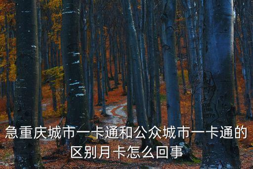 信用卡月卡是什么意思，信用卡核卡月次2月內(nèi) 是什么意思