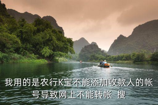 我用的是農(nóng)行K寶不能添加收款人的帳號(hào)導(dǎo)致網(wǎng)上不能轉(zhuǎn)帳  搜