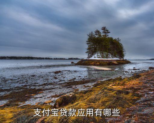 支付寶貸款應用有哪些