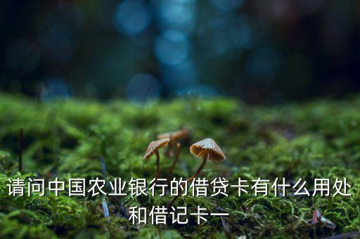 請(qǐng)問(wèn)中國(guó)農(nóng)業(yè)銀行的借貸卡有什么用處和借記卡一
