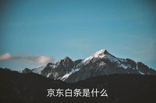 京東白條費(fèi)率是指什么意思，螞蟻花唄京東白條費(fèi)率是什么意思