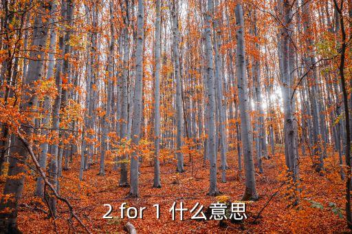 工行薪金溢1是什么意思，lg1是什么意思