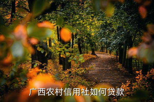 廣西農(nóng)村信用社如何貸款