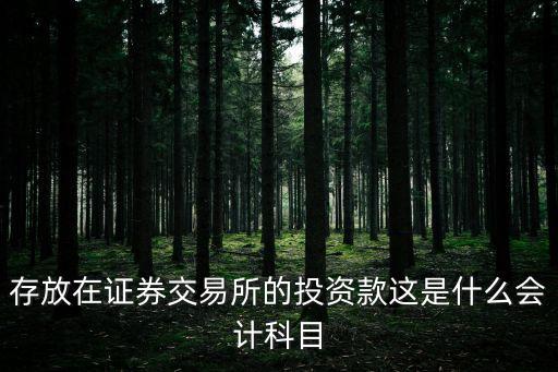 投資款屬于什么科目，投資款計(jì)什么科目
