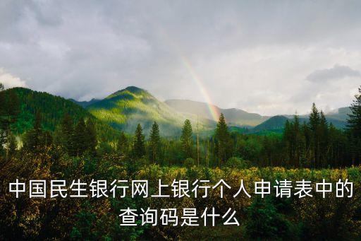 中國民生銀行網(wǎng)上銀行個人申請表中的查詢碼是什么