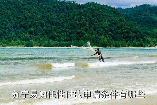 蘇任性付需要什么條件，蘇寧易購任性付怎么申請開通使用