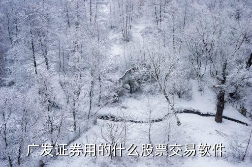 廣發(fā)證券用的什么股票交易軟件