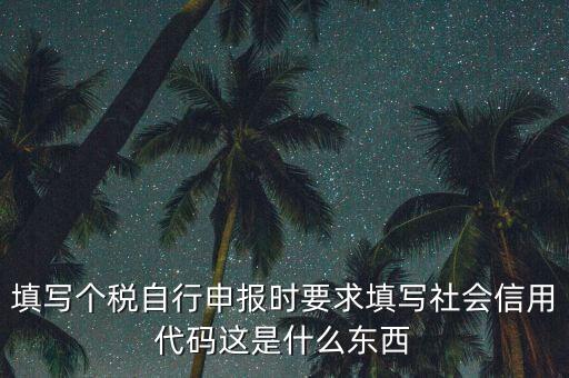 填寫(xiě)個(gè)稅自行申報(bào)時(shí)要求填寫(xiě)社會(huì)信用代碼這是什么東西