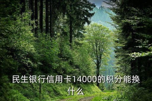 民生銀行積分兌換什么東西，民生銀行信用卡的積分可以兌換什么