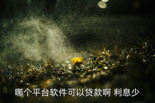 什么借錢好用利息底，哪個平臺軟件可以貸款啊 利息少