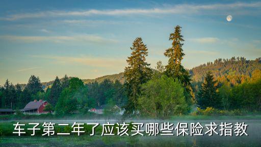 車子第二年了應(yīng)該買哪些保險(xiǎn)求指教