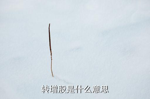 轉(zhuǎn)增股是什么意思