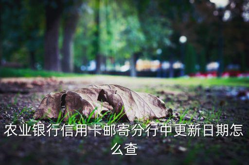 農(nóng)業(yè)銀行信用卡郵寄分行中更新日期怎么查