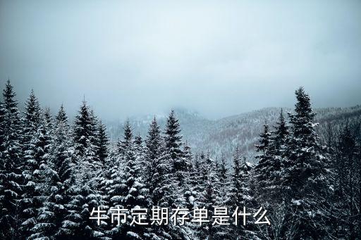 熊市定期存單是什么，牛市定期存單是什么
