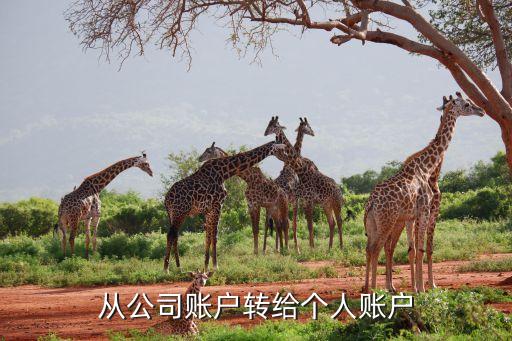 從公司賬戶轉(zhuǎn)給個(gè)人賬戶