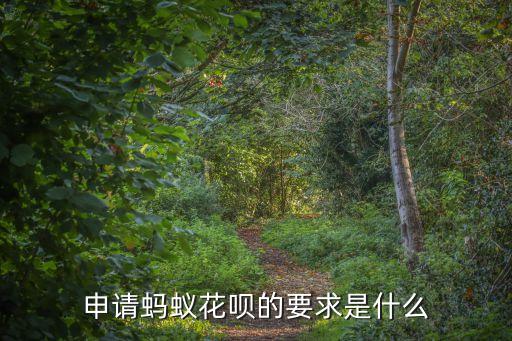 申請螞蟻花唄的要求是什么