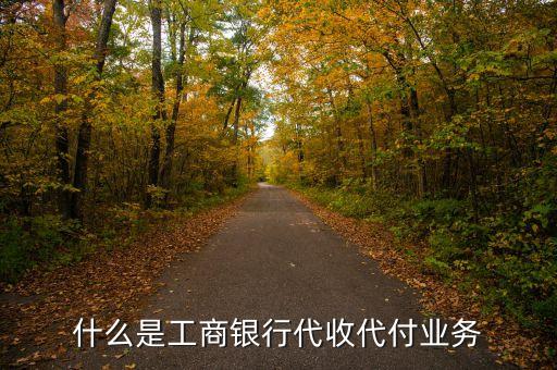 銀行辦理代收代付業(yè)務(wù)是什么意思，什么是代理收代付款業(yè)務(wù)