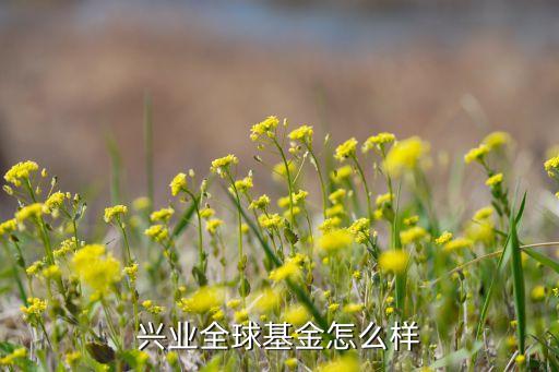 興全基金是什么，什么是QDIT基金