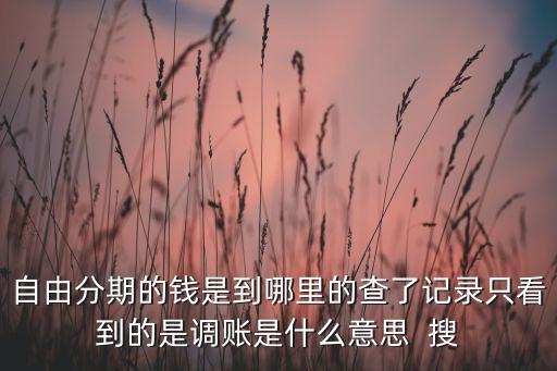 浦發(fā)銀行自由分期是什么意思，浦發(fā)信用卡自由分期付