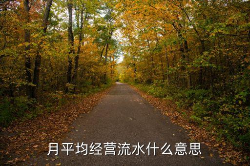 月均流水什么意思，最近6個(gè)月平均月流水30000什么意思