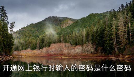 開(kāi)通網(wǎng)上銀行時(shí)輸入的密碼是什么密碼