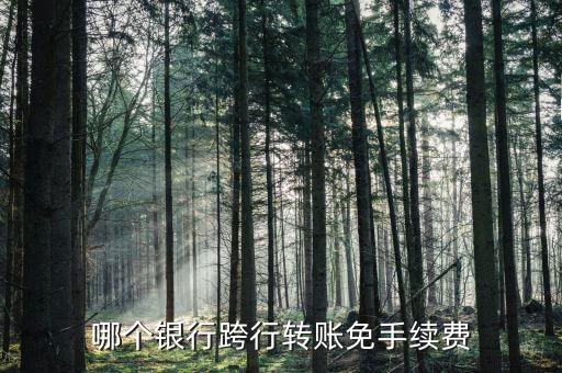 什么銀行跨行轉(zhuǎn)賬不收手續(xù)費(fèi)，哪個銀行跨行轉(zhuǎn)賬免手續(xù)費(fèi)