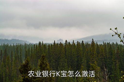 農(nóng)業(yè)銀行k支付怎么開通，請問農(nóng)業(yè)銀行K碼支付功能如何開通