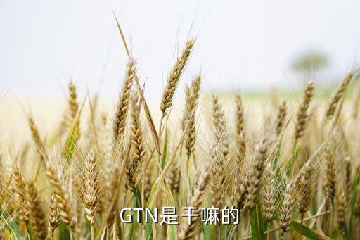 GTN是干嘛的