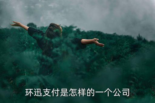 環(huán)迅支付是怎樣的一個(gè)公司