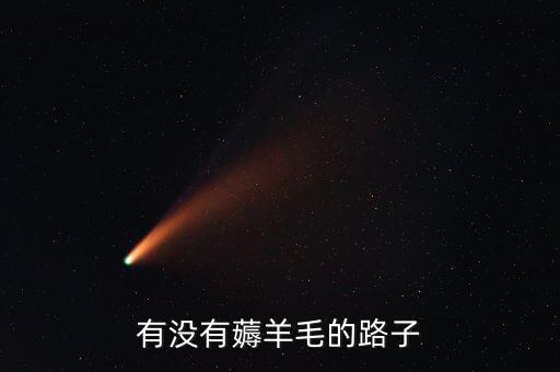 有什么漏洞可以薅羊毛，酒店或者洗浴收銀系統(tǒng)有什么漏洞可以賺外快