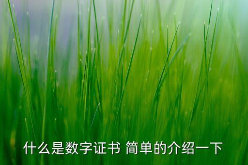 什么是數(shù)字證書 簡單的介紹一下