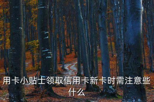 用卡小貼士領(lǐng)取信用卡新卡時需注意些什么