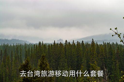 去臺(tái)灣旅游用什么手機(jī)卡，電信版三星note 2 雙卡雙待在國(guó)內(nèi)我用的是移動(dòng)卡去臺(tái)灣旅游用