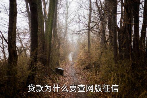 網(wǎng)絡(luò)版征信查詢是什么意思，什么是網(wǎng)絡(luò)版征信要怎么獲取