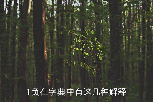 負(fù)的解釋是什么，1負(fù)在字典中有這幾種解釋